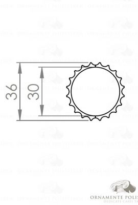 Fus coloana 02