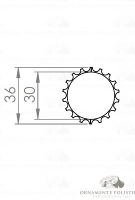 Fus coloana 03